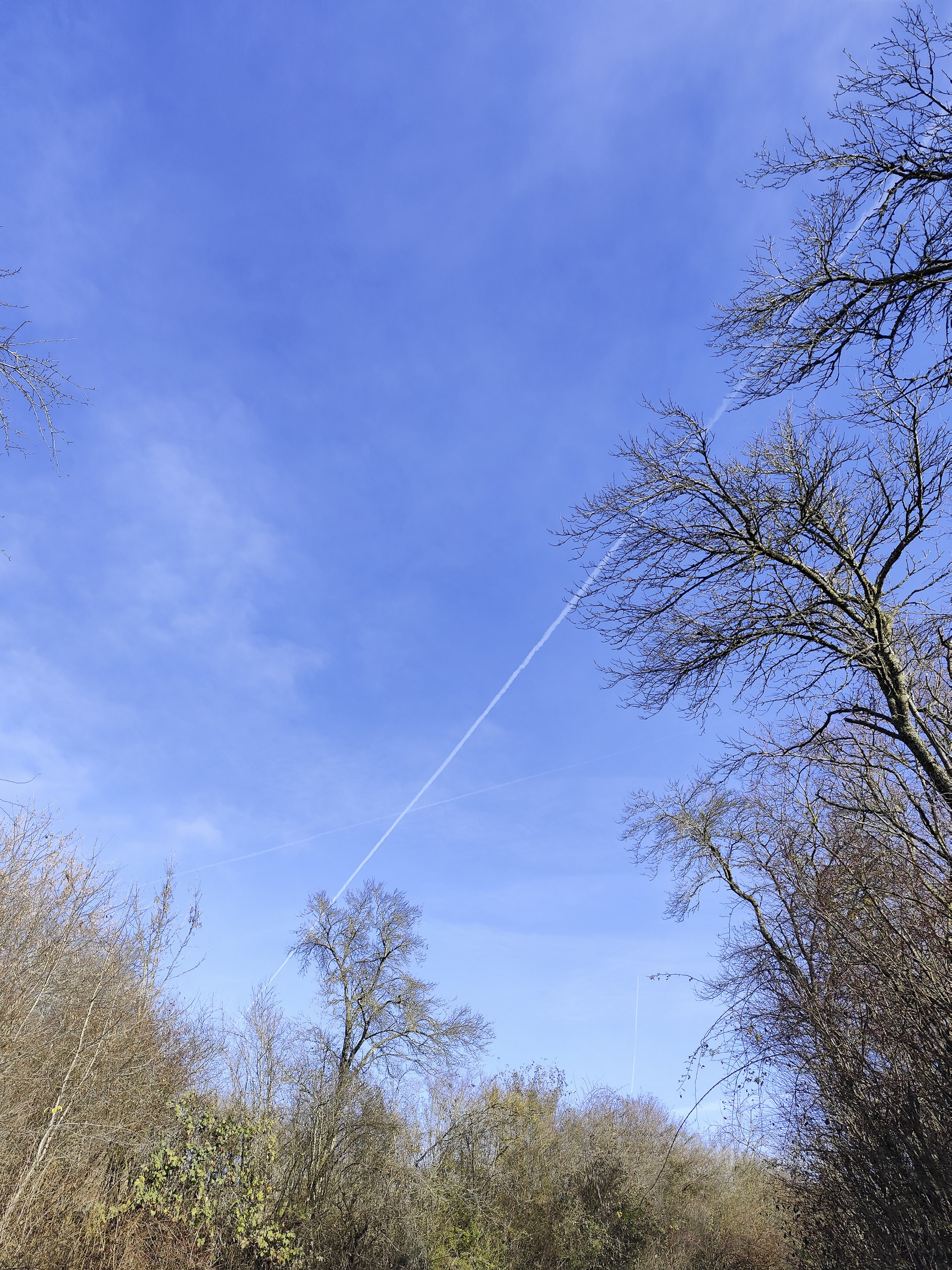 20251129113850 IMG 20251129 113850